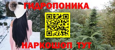 бошки Будённовск