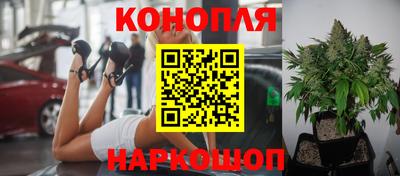 ECSTASY Бугуруслан