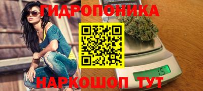 бошки Будённовск