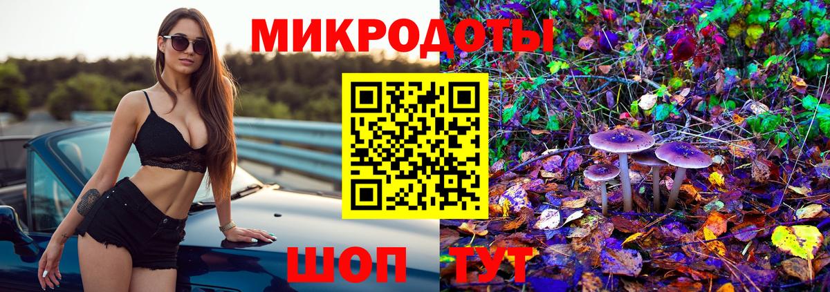 Галлюциногенные грибы Psilocybe Карасук